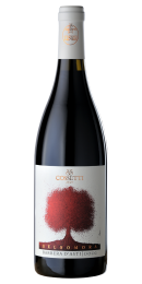 Cossetti - Barbera d'Asti Gelsomora