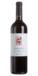 Enate Crianza Tempranillo Cabernet Sauvignon